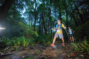 BIB: 5346
                            <button type="button" onclick="openModal(19241422)" class="btn btn-primary btn-sm float-right btn-popup" data-toggle="modal" data-target=".modal-high-quality">
                        <i class="fas fa-shopping-cart"></i> Add to Cart
                    </button>
                                            <button type="button" onclick="isThisMe(19241422, true)" class="btn btn-success btn-sm float-right btn-popup btn-isme hidden" data-toggle="tooltip" data-placement="bottom" title="นี่คือรูปของคุณใช่ไหม คลิกที่นี่เพื่อเอาเข้าอัลบั้ม">
                        <i class="fas fa-plus"></i> Add to album
                    </button>
                    <button type="button" onclick="isThisMe(19241422, false)" class="btn btn-warning btn-sm float-right btn-popup btn-isnotme hidden">
                        <i class="fas fa-ban"></i> Remove from album
                    </button>